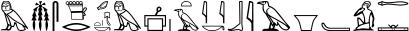 שורה 5